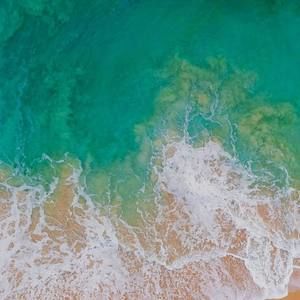 Meet your Posher, Cody